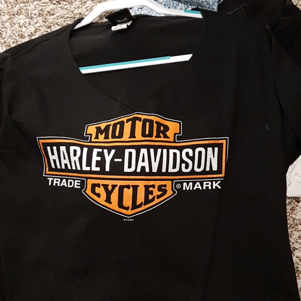 Harley davidson large